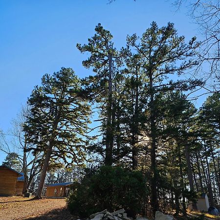 5 Min To Beaver Lake-King Bed-Fire Pit-Jetted Tub #4 Eureka Springs Extérieur photo