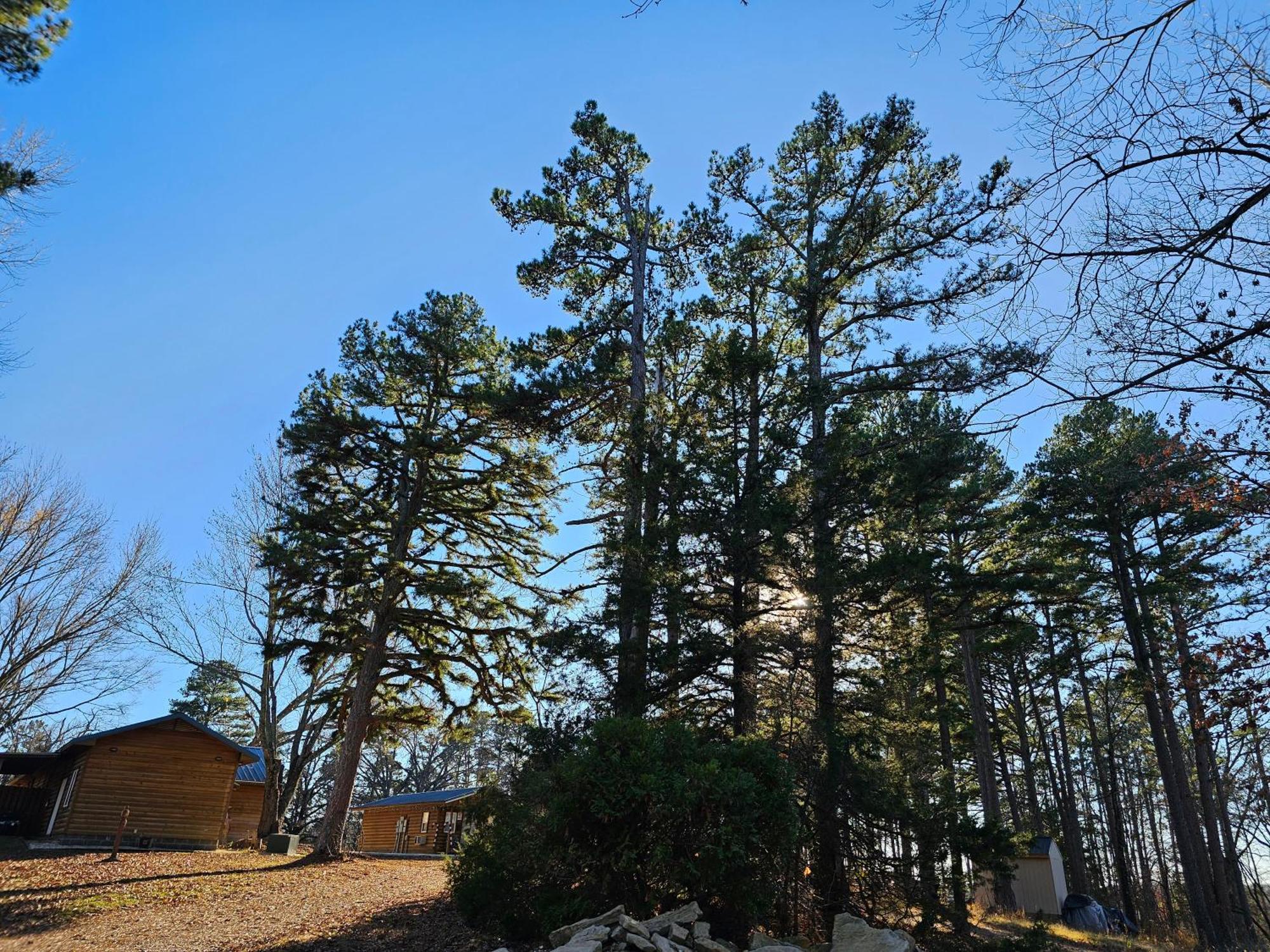 5 Min To Beaver Lake-King Bed-Fire Pit-Jetted Tub #4 Eureka Springs Extérieur photo